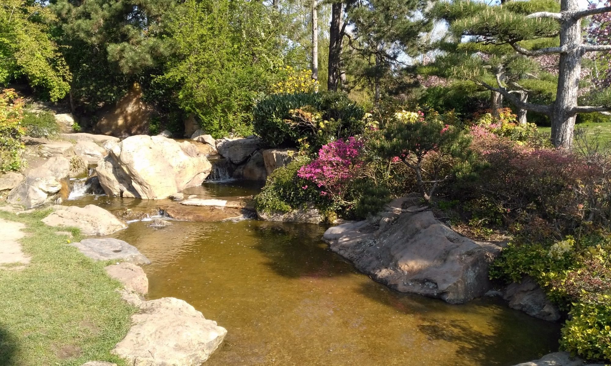 Tierheilpraktiker Düsseldorf